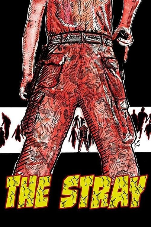 The Stray poster