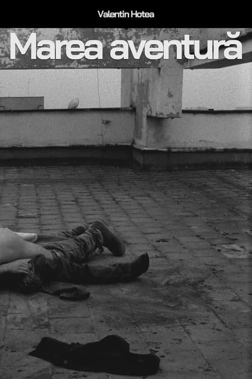 Marea aventură poster