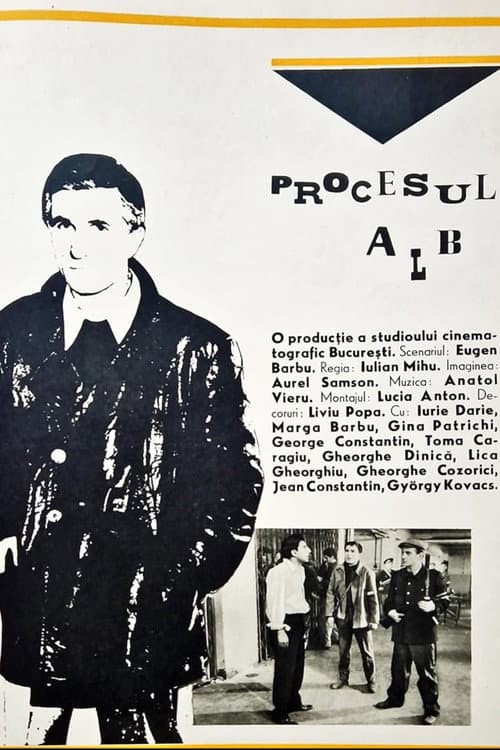 White Trial poster