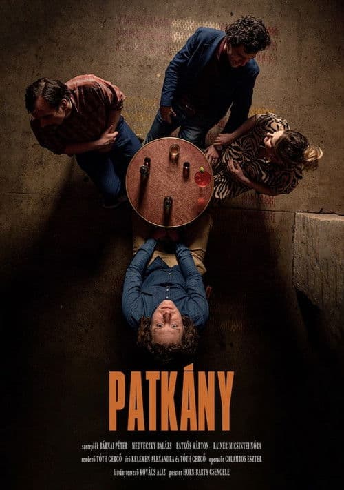 Patkány poster
