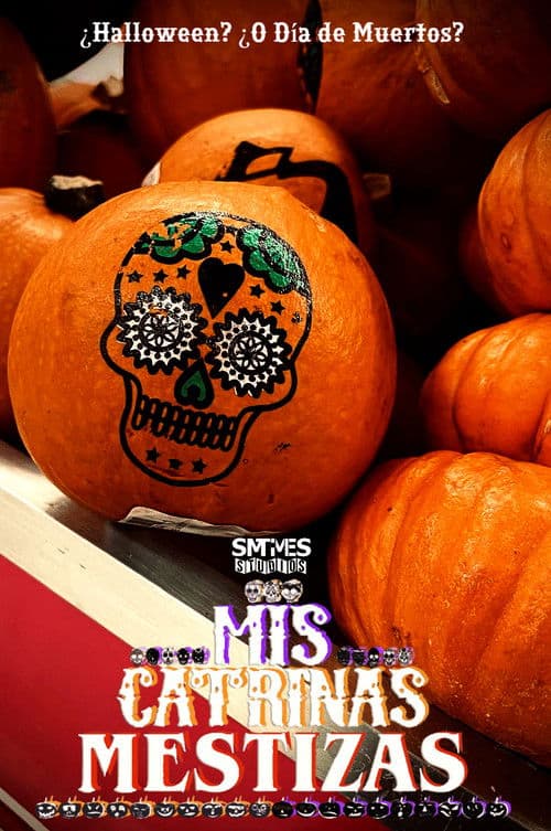 Mis Catrinas Mestizas poster