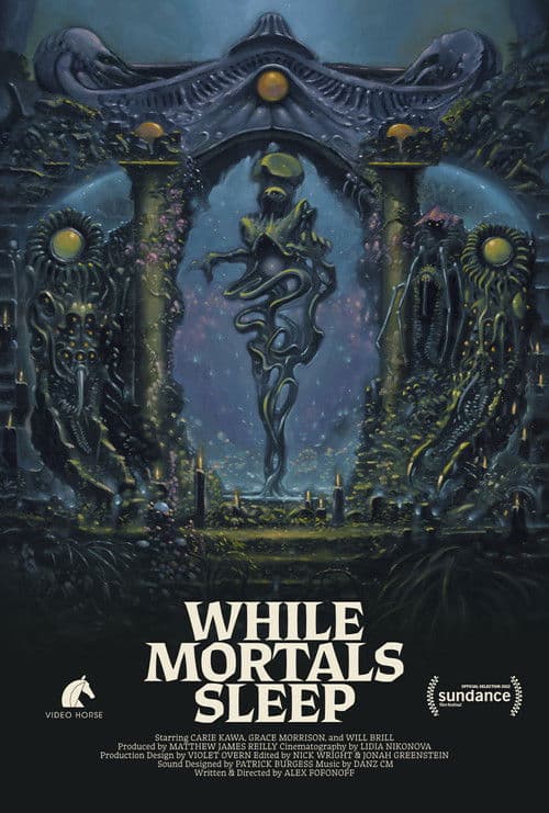 While Mortals Sleep poster