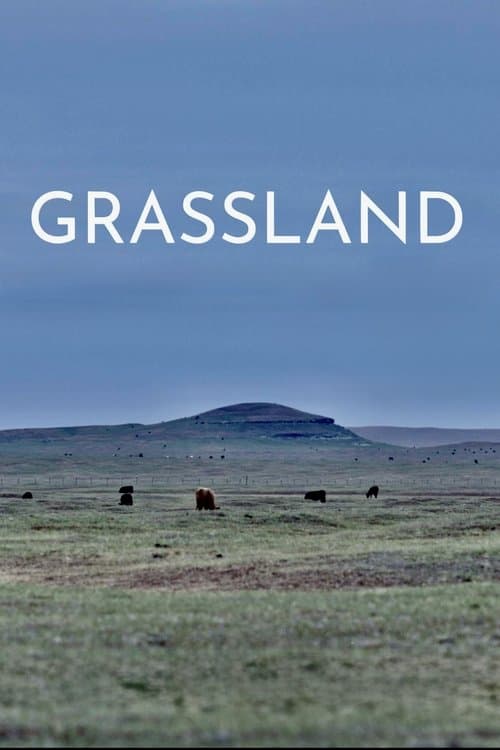 Grassland poster