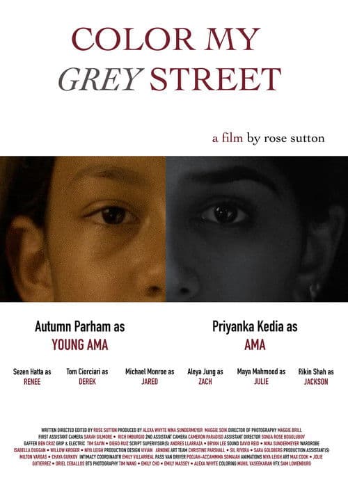 Color My Grey Street poster
