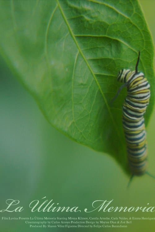 La Última Memoria poster
