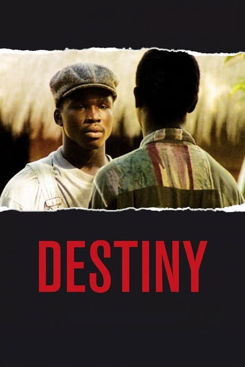 Destiny poster