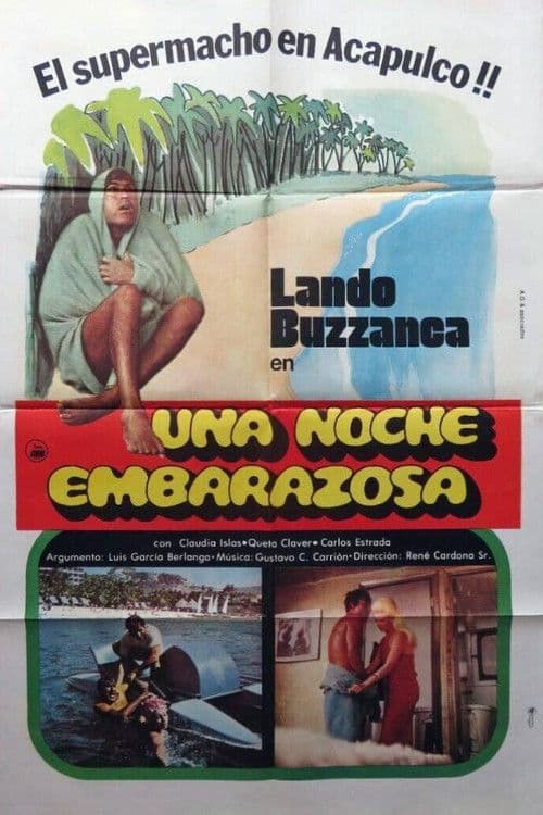 Una noche embarazosa poster