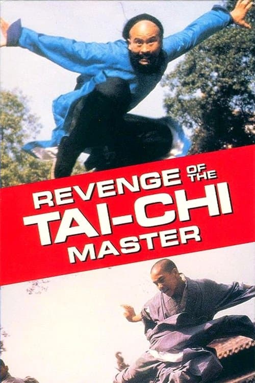 Secret of Tai Chi poster