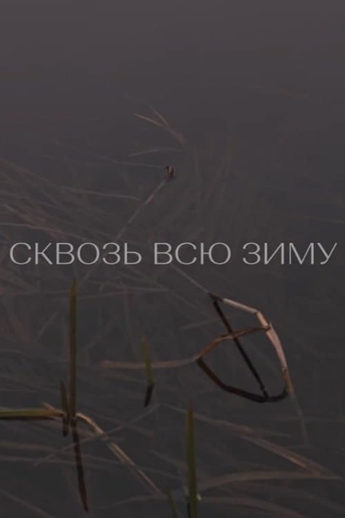 Through the Winter poster