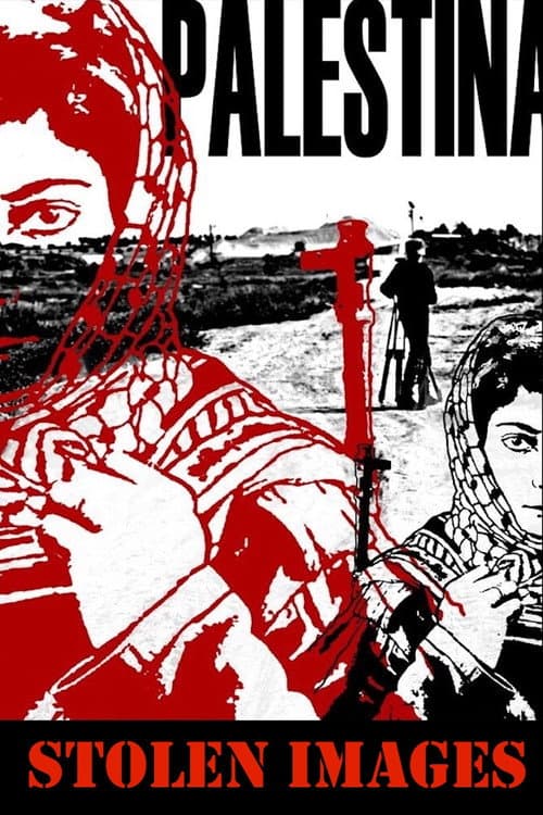 Palestine: Stolen Images poster