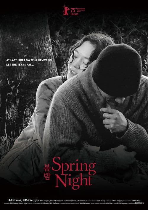Spring Night poster