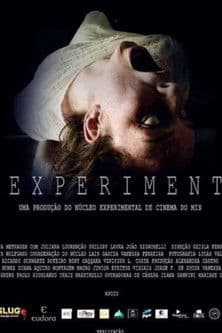 The Experiment poster