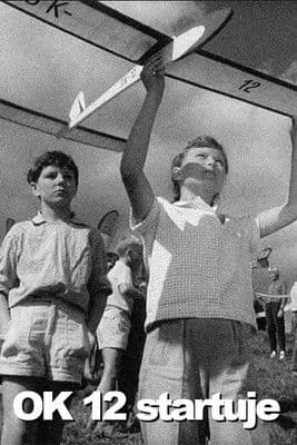 OK 12 startuje poster