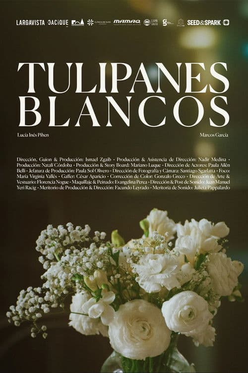 Tulipanes blancos poster
