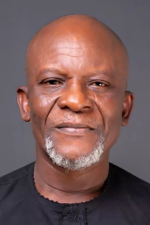 Toyin Oshinaike profile photo