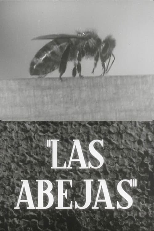 Las abejas poster
