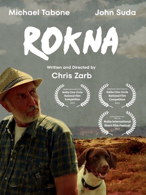 Rokna poster