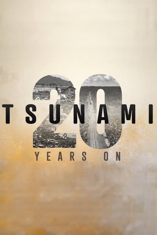 Tsunami: 20 Years On poster