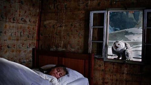 Winter Silence poster