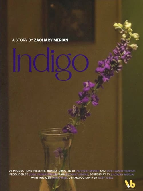 INDIGO poster