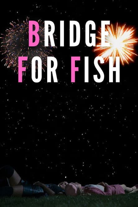Bridge For Fish poster