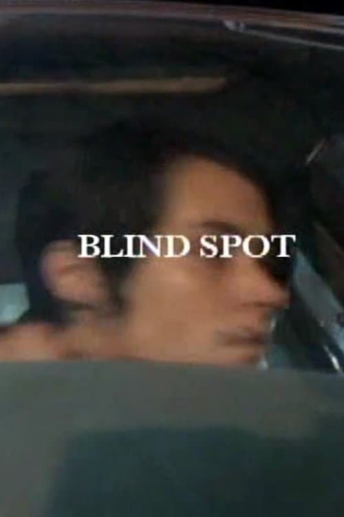 Blind Spot poster