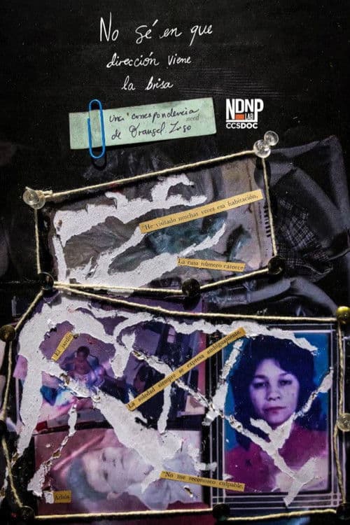 No sé en que dirección viene la brisa poster