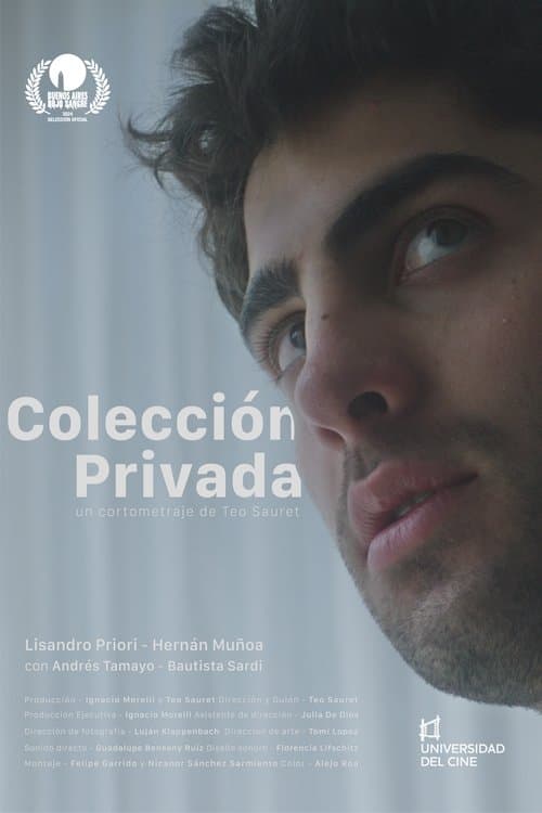 Colección Privada poster
