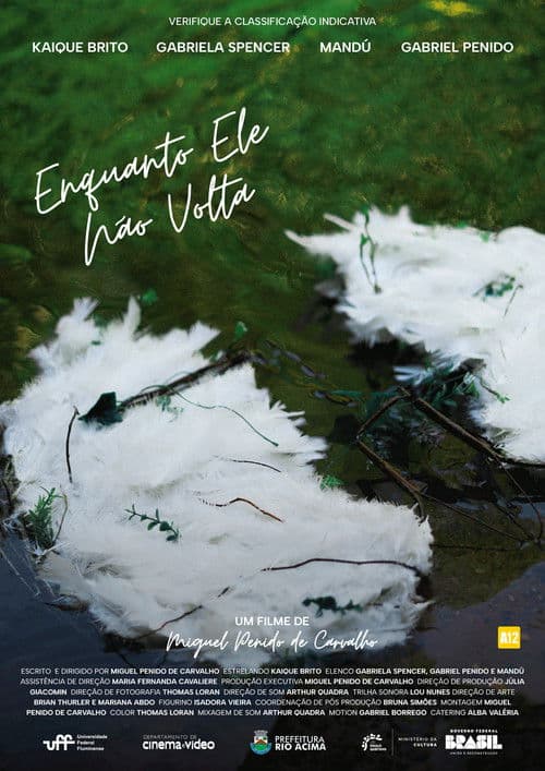 Enquanto Ele Não Volta poster