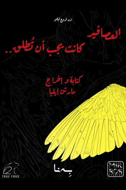 Birds Should Have Been Released poster