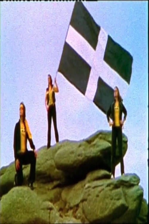 Kernows Kickass Kunfu Kweens poster