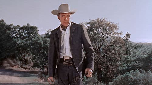 Una bala es mi testigo poster