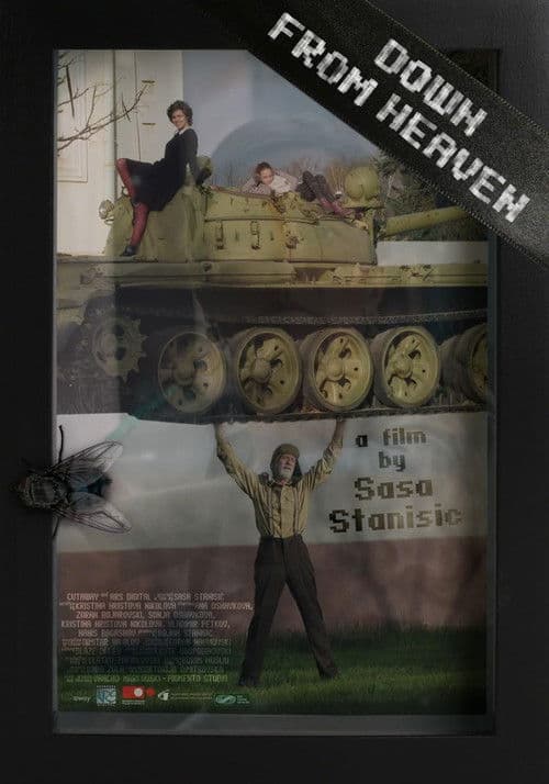 Down from Heaven poster