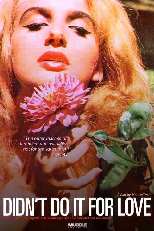 Didn't Do It For Love poster