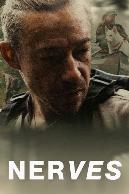 Nerves poster