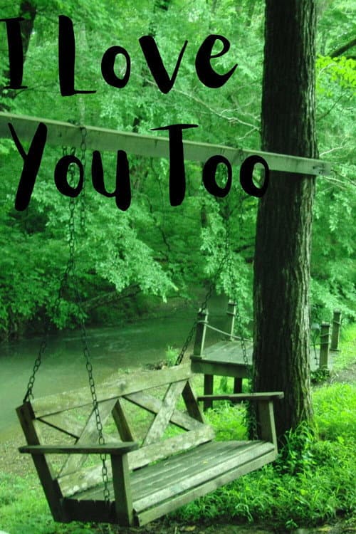 I Love You Too poster