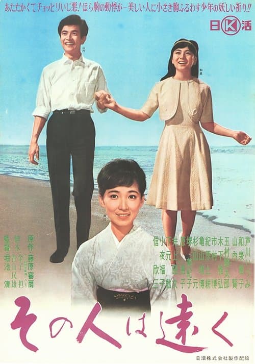 Distant Love poster
