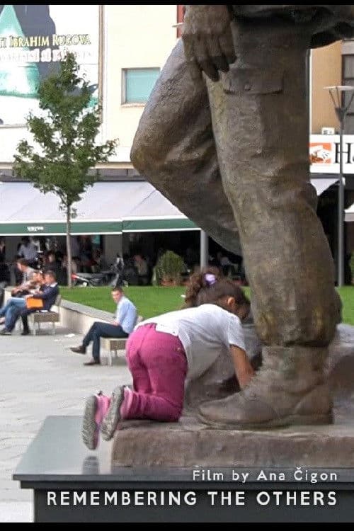 Remembering the Others poster