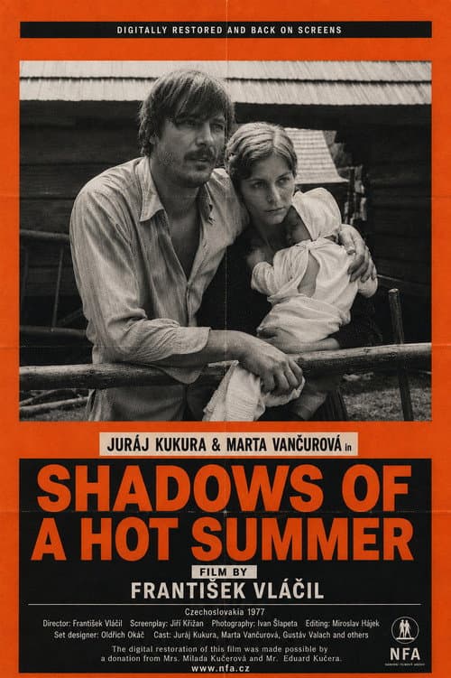 Shadows of a Hot Summer poster