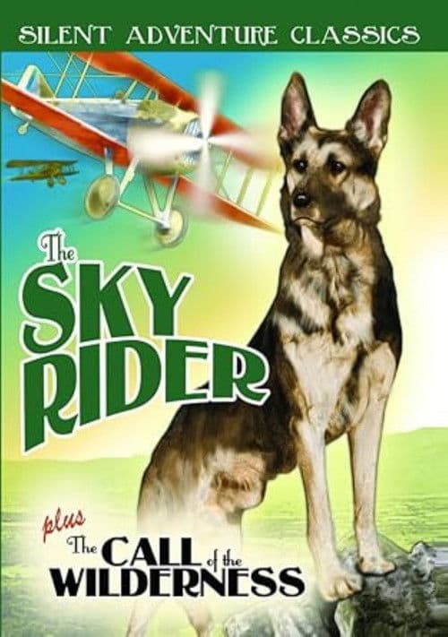 The Sky Rider poster