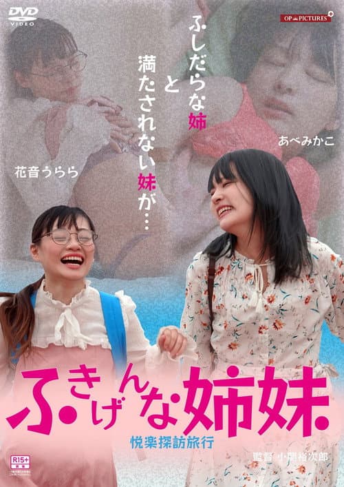 The Grumpy Sisters - Pleasure-Seeking Trip poster