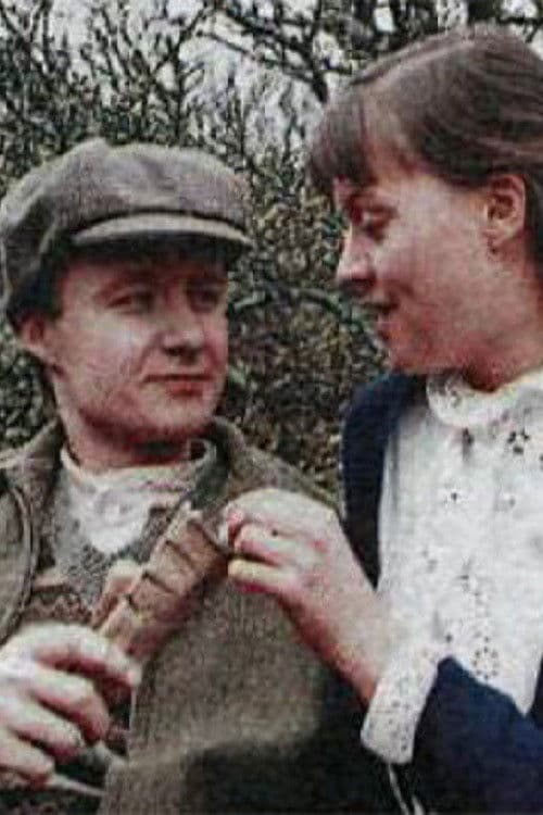 the Colours of the earth poster