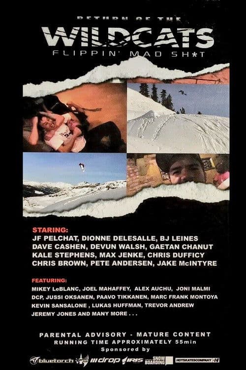 Return Of The Wildcats poster