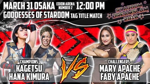 Stardom Dream Slam In Osaka poster