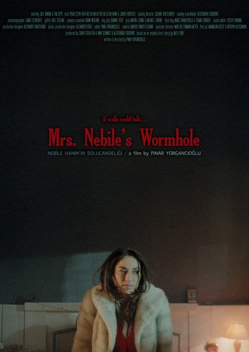 Nebile Hanım'ın Solucan Deliği poster