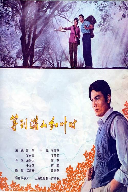 等到满山红叶时 poster