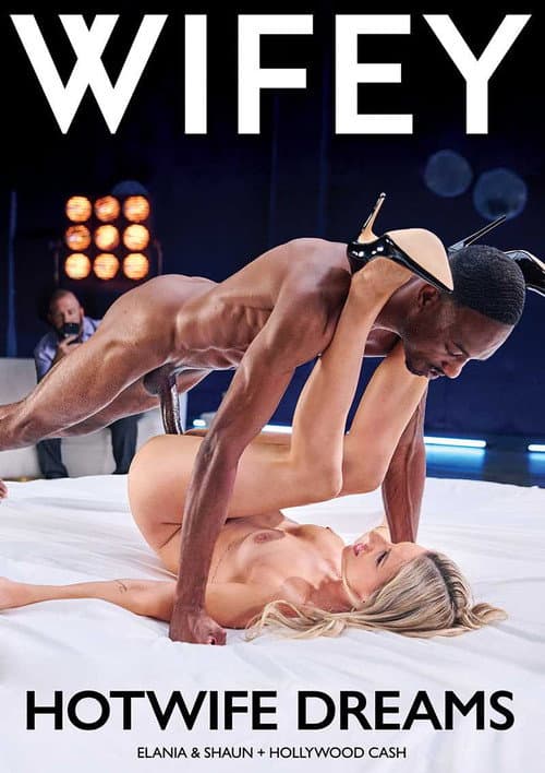 Hotwife Dreams poster