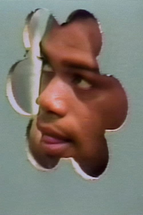 Burt Noardman profile photo