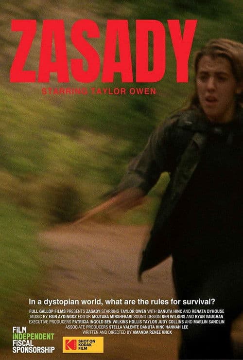 Zasady poster