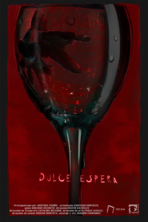 Sweet Expecting poster